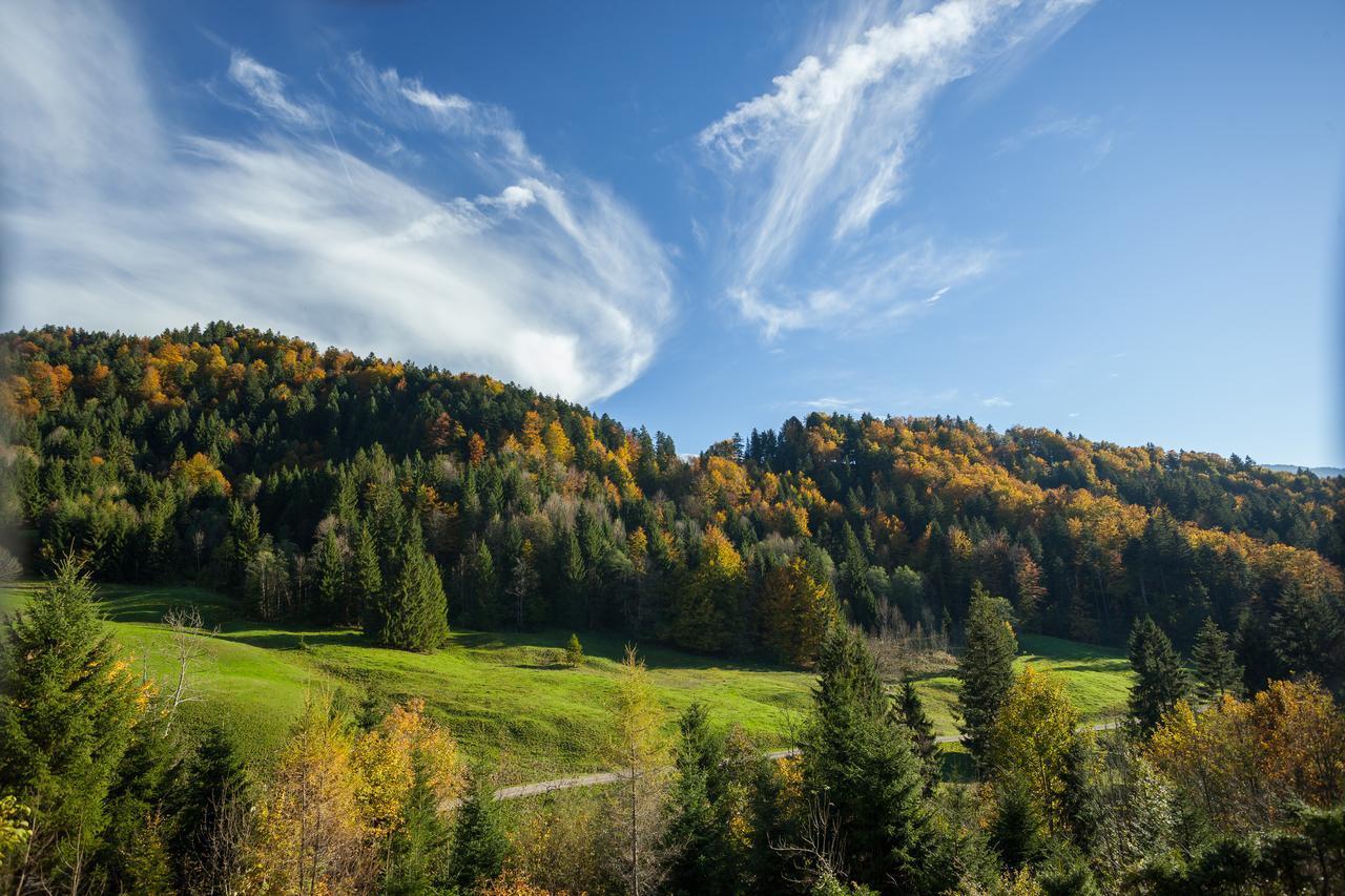 Hotel Bad Rain Mit Oberstaufen Plusgolf ภายนอก รูปภาพ